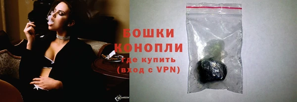 PSILOCYBIN Абаза