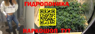 Альфа ПВП Гатчина