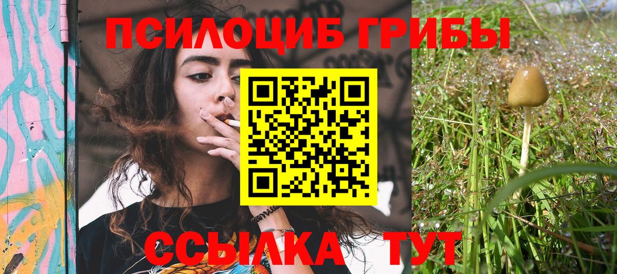 Псилоцибиновые грибы прущие грибы Ирбит