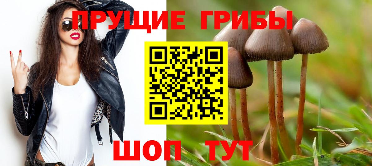 закладки  Галлюциногенные грибы GOLDEN TEACHER  Галлюциногенные грибы мицелий  Вход с VPN  Ирбит 